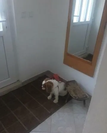 Gandalj_2 Lokva Rogoznica